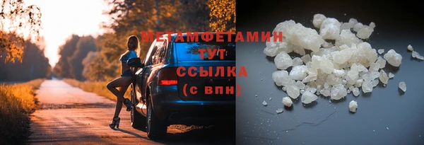 прущие грибы Елизово
