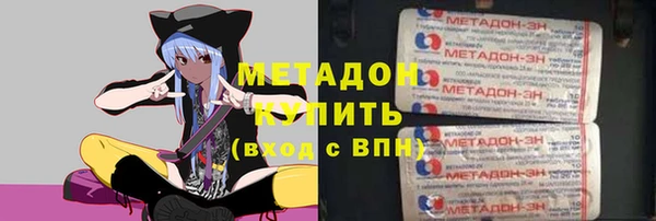 прущие грибы Елизово