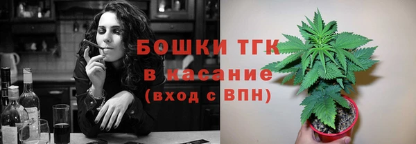 прущие грибы Елизово