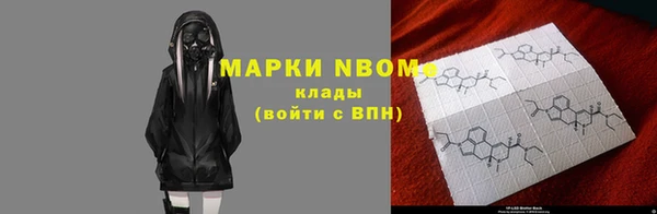 прущие грибы Елизово