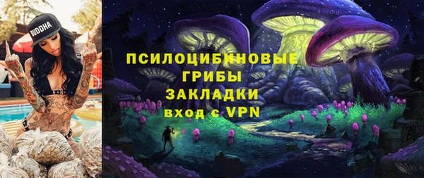 прущие грибы Елизово