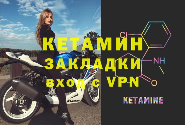 прущие грибы Елизово