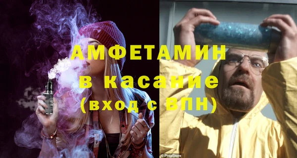 прущие грибы Елизово