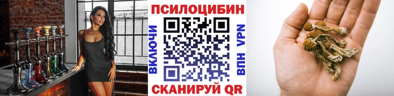 Купить  Поронайск  Псилоцибиновые грибы GOLDEN TEACHER 